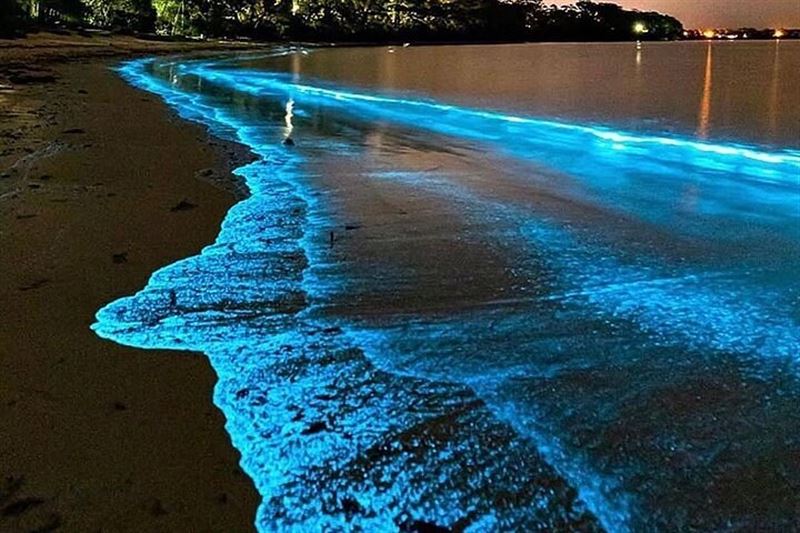 Sunset and Plankton Bioluminescent Night Kayak – Lan Ha Bay